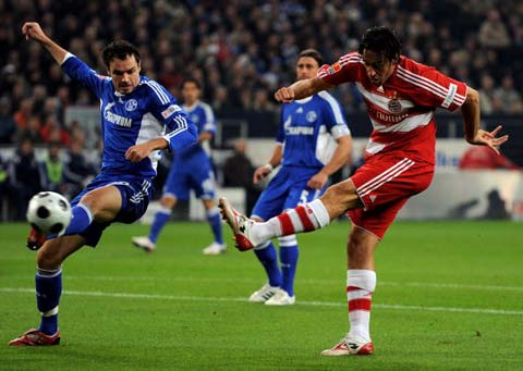 球迷和专家 球迷和专家